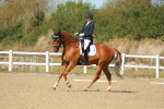 SBM_000860