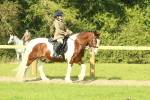 SBM_67388