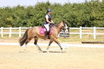 SBM_003958