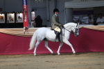 SBM_02941