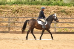 SBM_001000