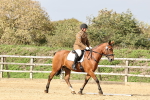 SBM_001799