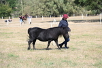 WJ6_4385