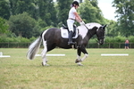 WJ6_6916