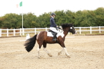 SBM_001497