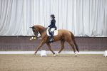 SBM_008010