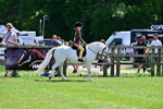 SBM_06466