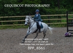 CLASS 3 Stepping Stones 128/ 138cms Handicap portfolio