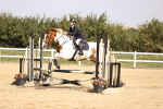 SBM_001980