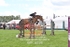 BPP_6338