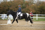 SBM_001509