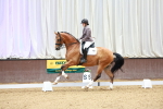 SBM_003809