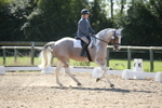 Class 4 - Novice 1 portfolio