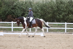 SBM_003021