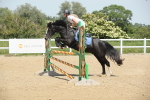 SBM_012437