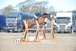 JAC_4463