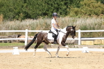 SBM_001604