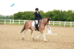 SBM_006408