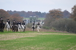 WJ6_9144