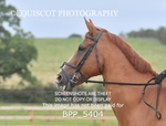 MY QUEST + INTRO TEST 1 & 2 portfolio