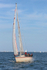 150627 FIREFLY GBR9311R WT7A1725