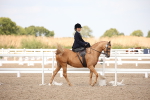 SBM_06771