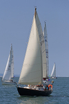 140621 BLUE DOLPHIN GBR1397Y IMG_7507
