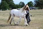 WJ7_8166