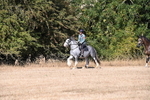 WJ6_7798