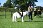 SBM_36778