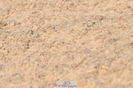240509A-092928-00568