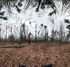 Standing on Principle -  Fruitlands 