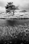 Kelly Hall Tarn 04