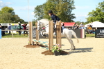 SBM_39289