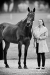 Trot Up 290516 242abw
