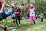Dovedale Dash-2109