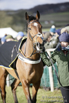 Point-to-Point Milborne St Andrew 04/02/18 portfolio