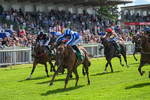 310526-Race 2-Dazzling Haze-8406