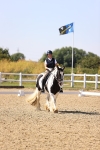 SBM_006553