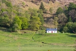 MF1_4348