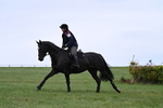 WJ7_8560