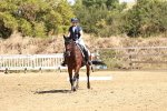 SBM_001549