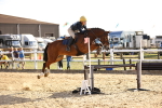 SBM_003260