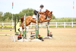SBM_004146