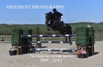 CLASS 15 Senior Foxhunter/ 1.20m Open portfolio