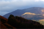 Tip Top Light II