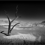 2nd Print Dead Vlei Mike Cullis