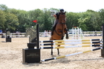 Class 6: Pendarves Equestrian Accumulator portfolio