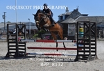 BPP_8132