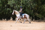 WJ6_9244